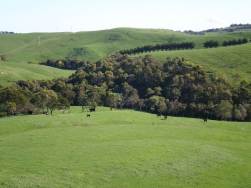 LOT 1 HAWKINS RD, Archies Creek VIC 3995