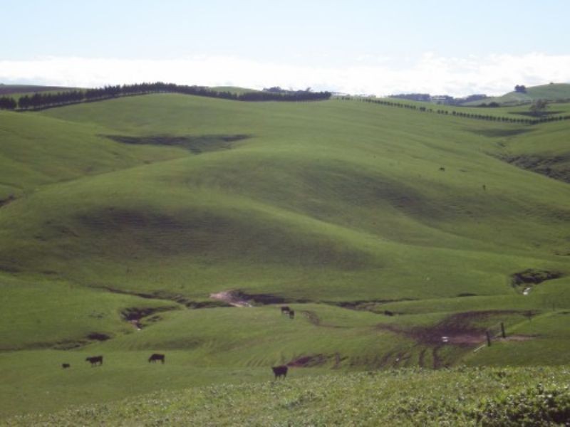 LOT 1 HAWKINS RD, Archies Creek VIC 3995
