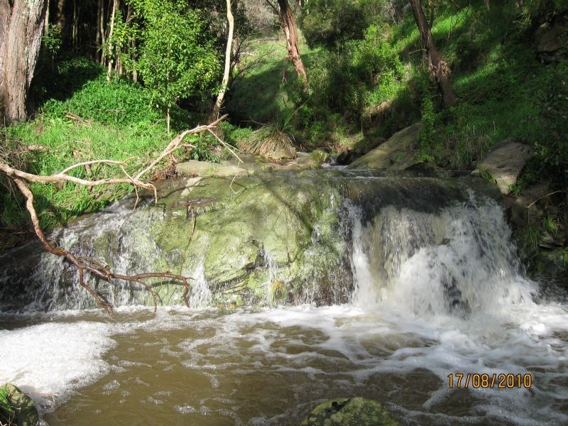 Glen Forbes VIC 3990