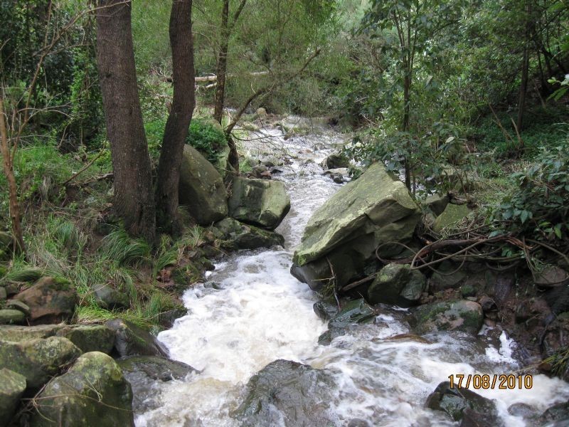 Glen Forbes VIC 3990