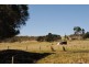 101A TREW ROAD, Woolamai VIC 3995