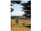 101A TREW ROAD, Woolamai VIC 3995
