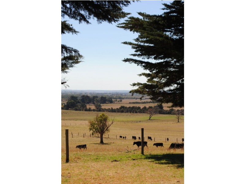 101A TREW ROAD, Woolamai VIC 3995