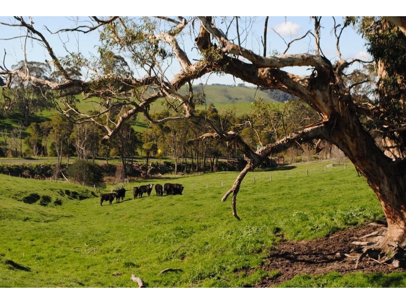 LOT 4, 80 KONGWAK RD, Kongwak VIC 3951