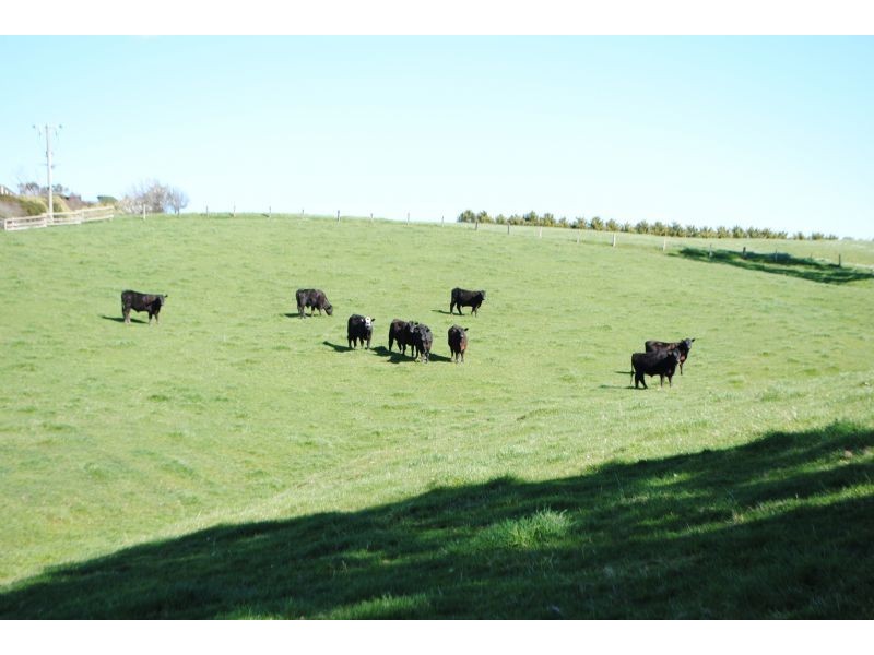 LOT 4, 80 KONGWAK RD, Kongwak VIC 3951