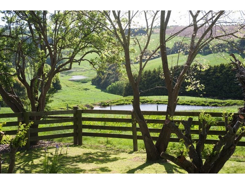 145 PAYNE ROAD, Glen Alvie VIC 3979