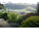 145 PAYNE ROAD, Glen Alvie VIC 3979