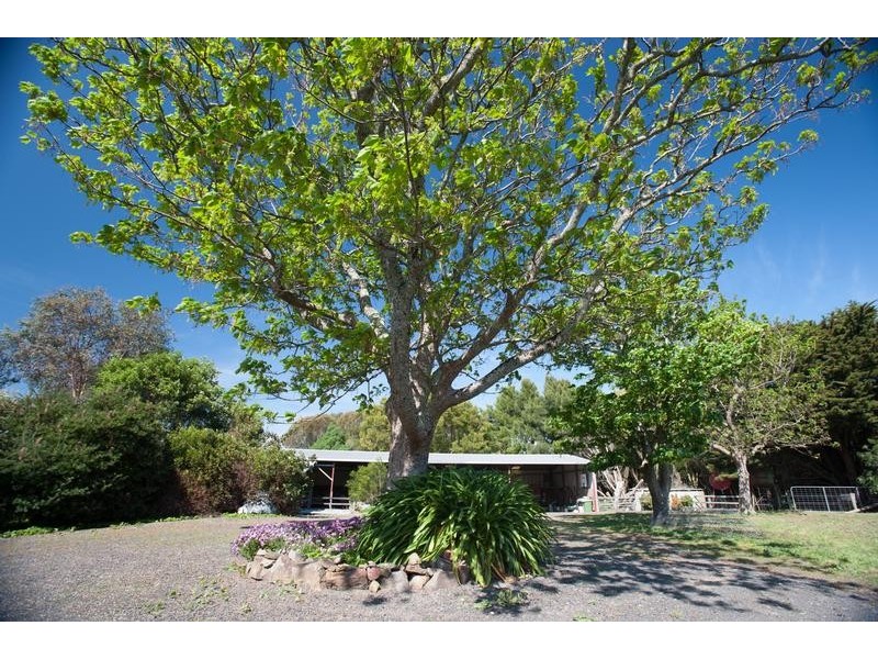 145 PAYNE ROAD, Glen Alvie VIC 3979