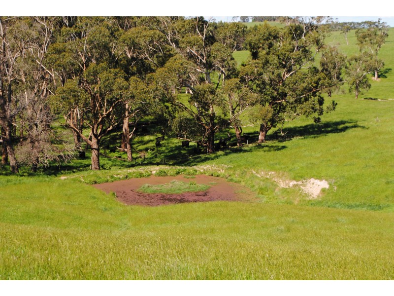 10 SMITH ROAD, Grantville VIC 3984