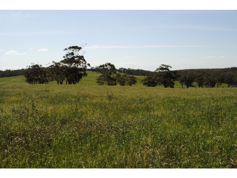 10 SMITH ROAD, Grantville VIC 3984