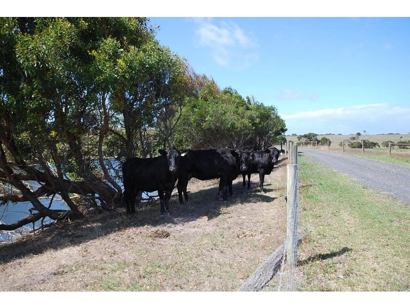190 LOWER POWLETT ROAD, Wonthaggi VIC 3995