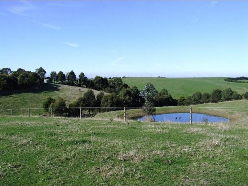157 MILL ROAD, Archies Creek VIC 3995