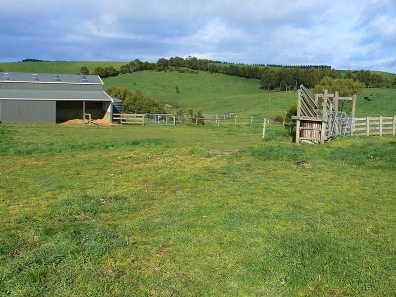 157 MILL ROAD, Archies Creek VIC 3995