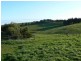 157 MILL ROAD, Archies Creek VIC 3995