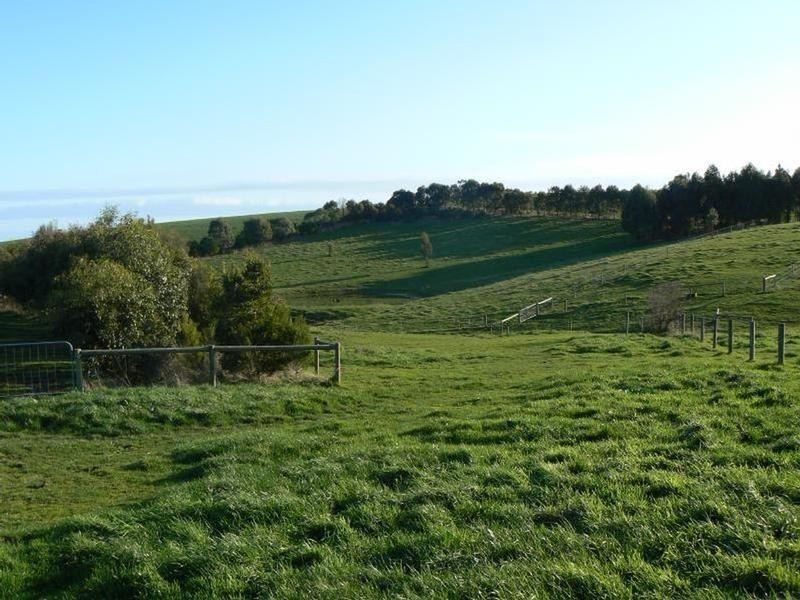 157 MILL ROAD, Archies Creek VIC 3995