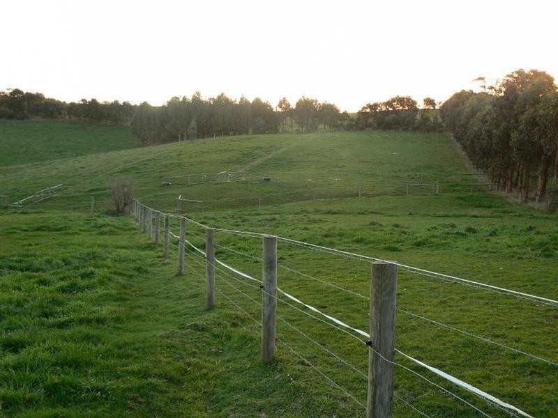 157 MILL ROAD, Archies Creek VIC 3995