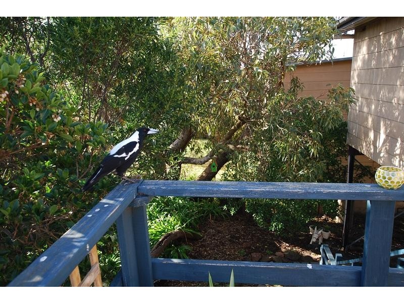 51 ANCHOR PARADE, Cape Paterson VIC 3995