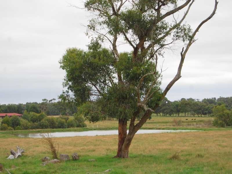 LOT 3 DESMONDS ROAD, Wattle Bank VIC 3995