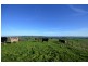 1650 LOCH-WONTHAGGI ROAD, Glen Alvie VIC 3979