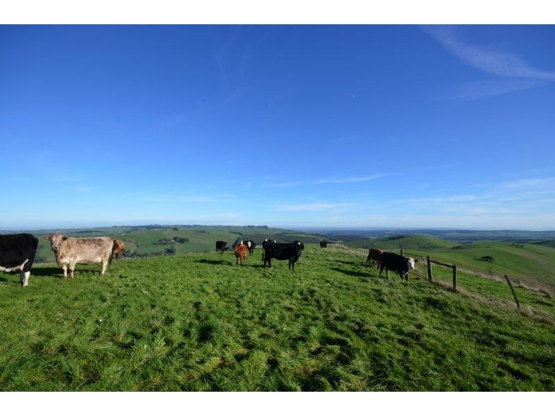 1650 LOCH-WONTHAGGI ROAD, Glen Alvie VIC 3979