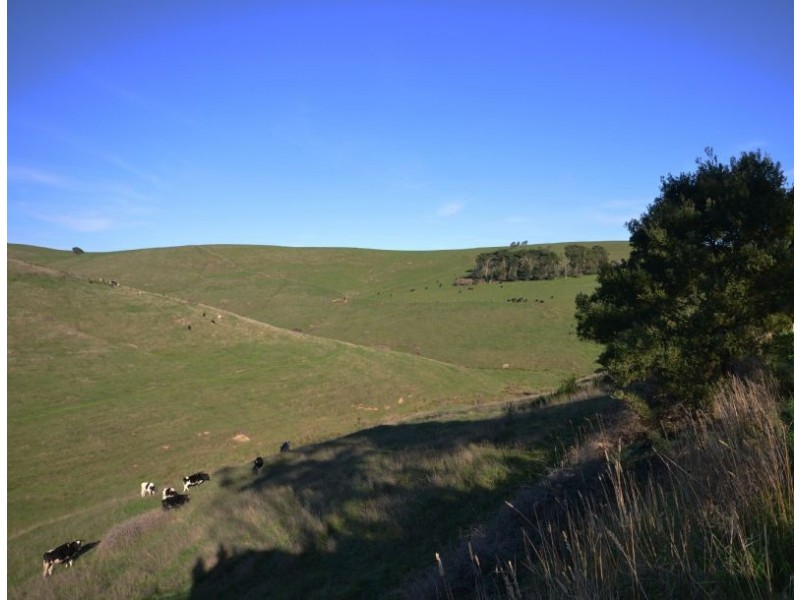 1650 LOCH-WONTHAGGI ROAD, Glen Alvie VIC 3979