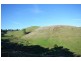 1650 LOCH-WONTHAGGI ROAD, Glen Alvie VIC 3979