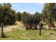 80-96/LOT 3 POWLETT ST, Dalyston VIC 3992