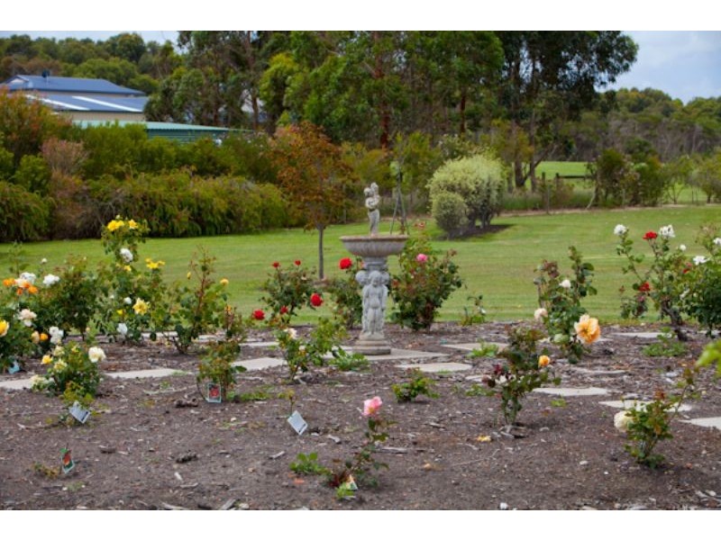 29 SHANDLEY ST, Wonthaggi VIC 3995