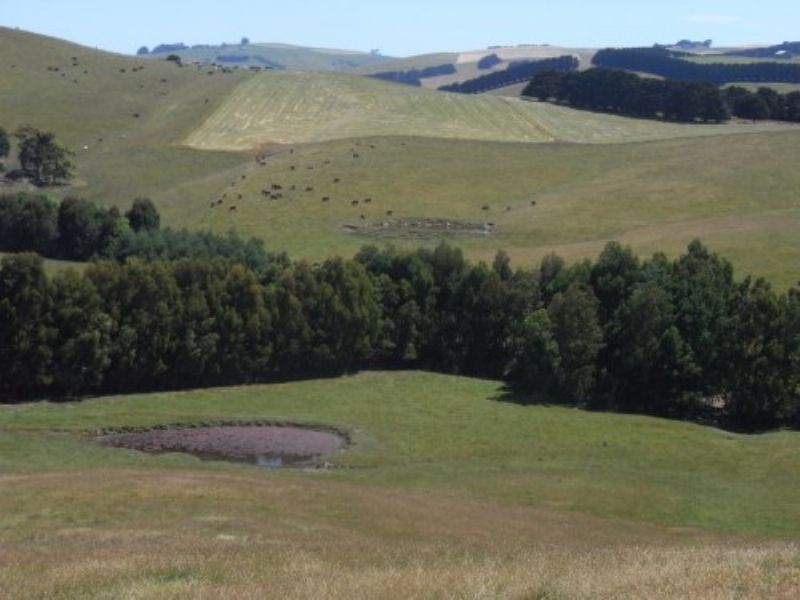 710 GLEN ALVIE ROAD, Glen Alvie VIC 3979