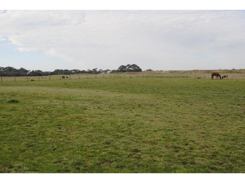 161 REED CRESCENT, Wonthaggi VIC 3995