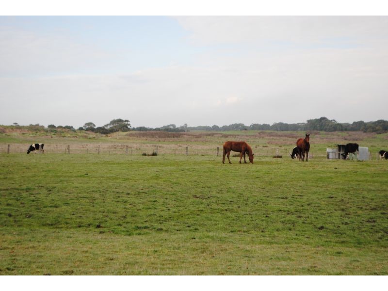 161 REED CRESCENT, Wonthaggi VIC 3995