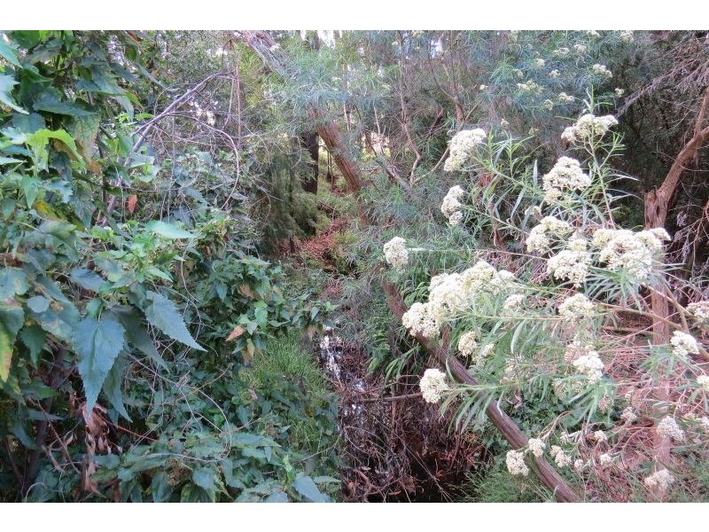 375 STEWARTS ROAD, Outtrim VIC 3951