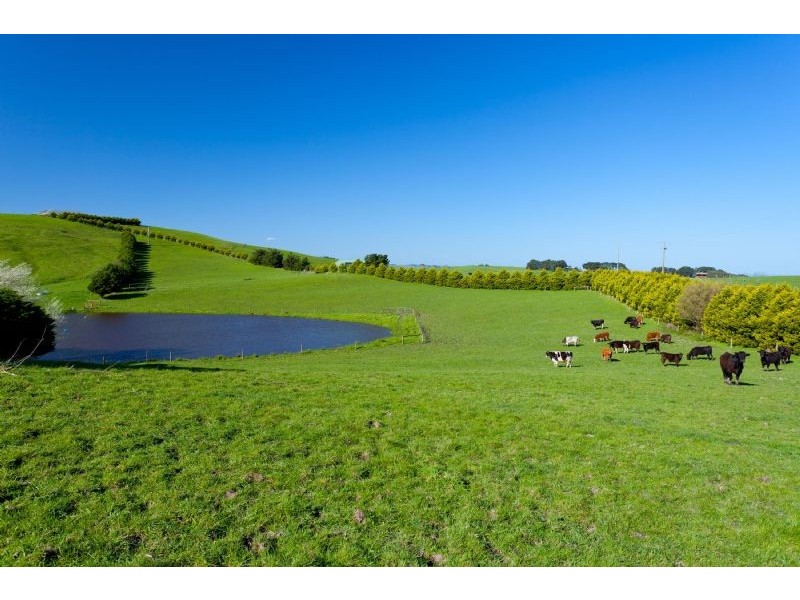 580B DENSLEY ROAD, Woolamai VIC 3995