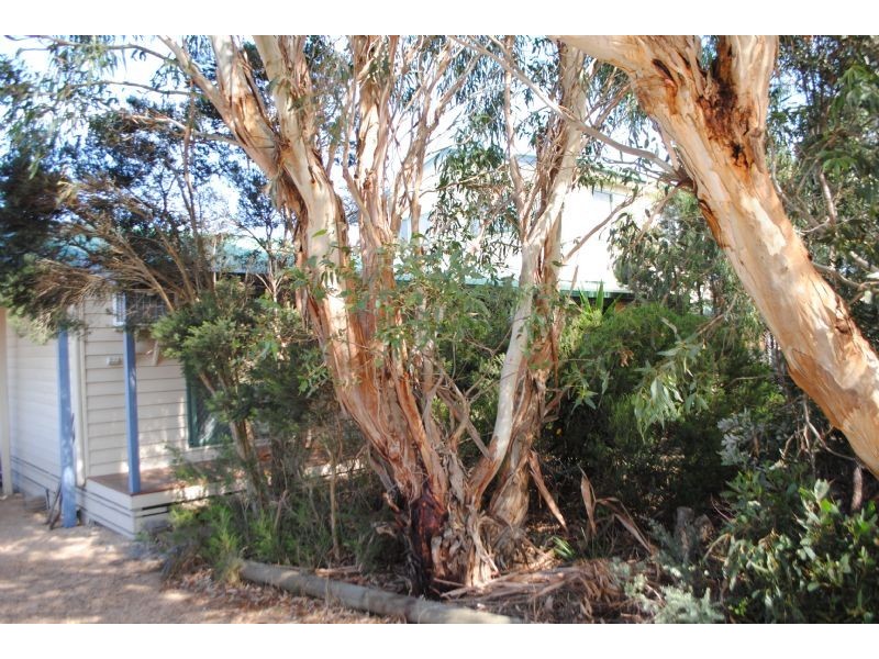7 HILL STREET, Kilcunda VIC 3995