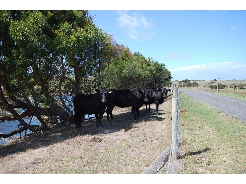 190 LOWER POWLETT ROAD, Wonthaggi VIC 3995