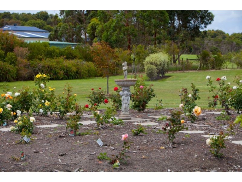 29 SHANDLEY ST, Wonthaggi VIC 3995