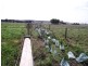 LOT 3 MCCROWS RD, Lance Creek VIC 3995