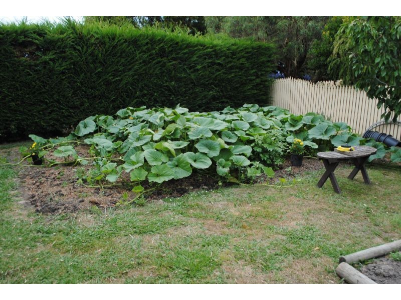 2552 LOCH-WONTHAGGI ROAD, Ryanston VIC 3992