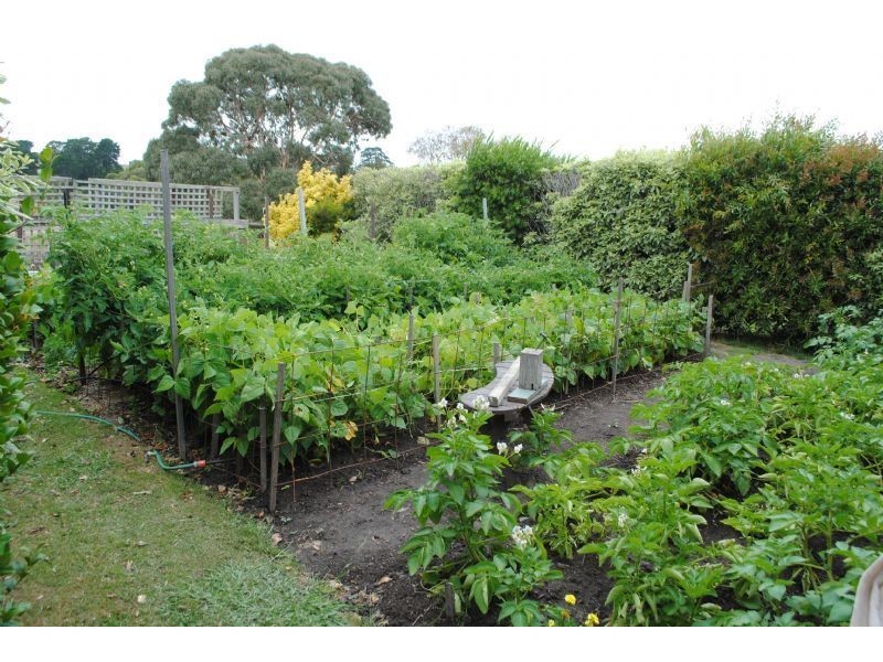 2552 LOCH-WONTHAGGI ROAD, Ryanston VIC 3992