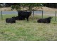 2552 LOCH-WONTHAGGI ROAD, Ryanston VIC 3992