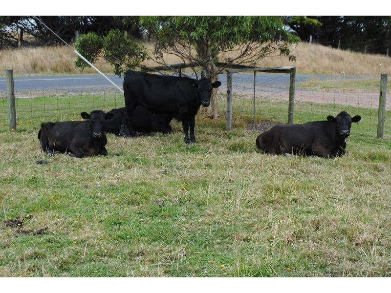 2552 LOCH-WONTHAGGI ROAD, Ryanston VIC 3992