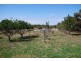 4080 BASS HIGHWAY, Dalyston VIC 3992