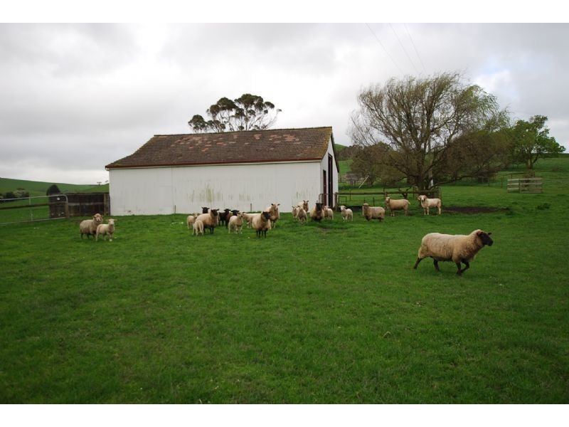 175 MILES ROAD, West Creek VIC 3992