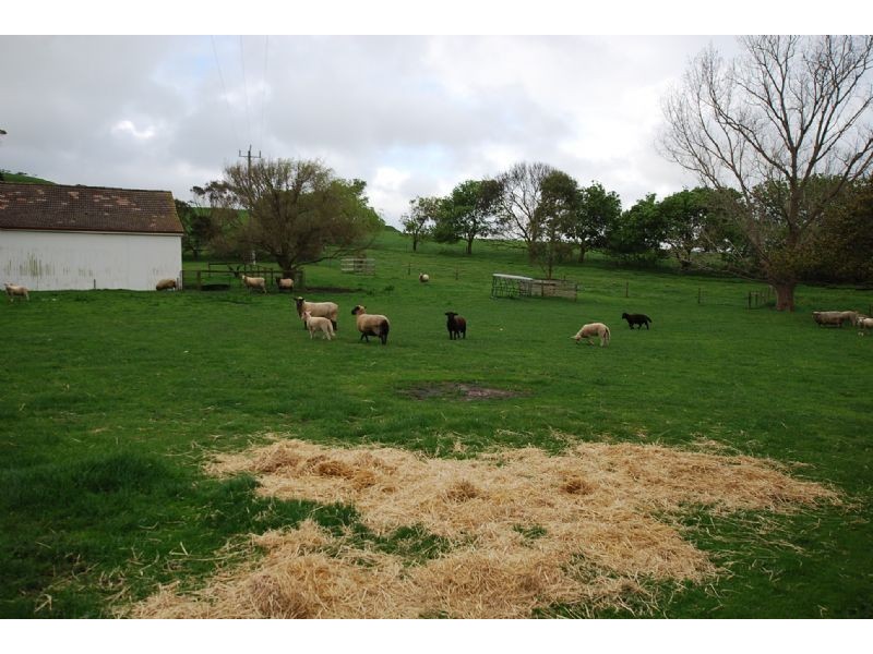 175 MILES ROAD, West Creek VIC 3992