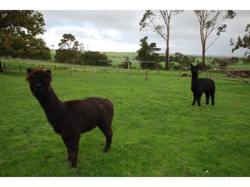 175 MILES ROAD, West Creek VIC 3992