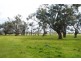 LOT 2 INVERLOCH – KONGWAK ROAD, Wattle Bank VIC 3995
