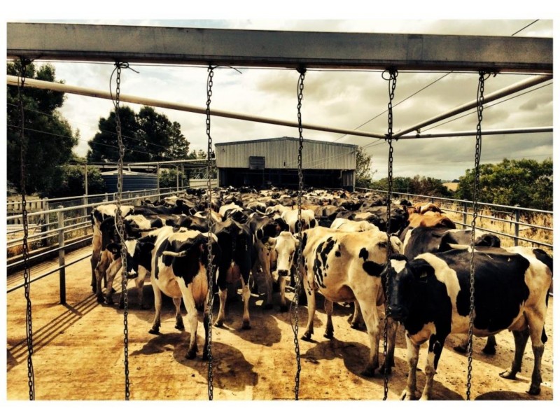 90 BAUM ROAD, Ryanston VIC 3992