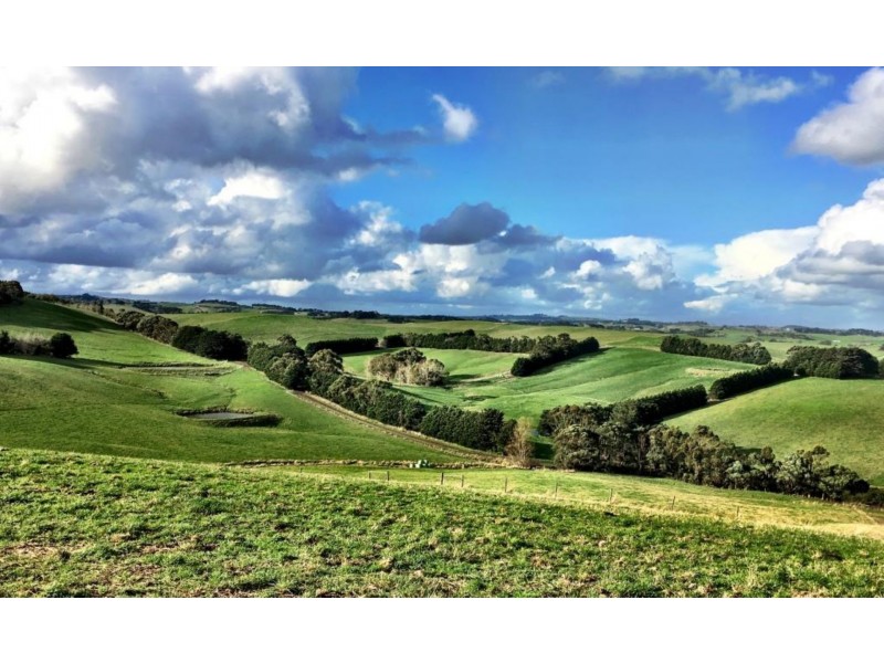 90 BAUM ROAD, Ryanston VIC 3992