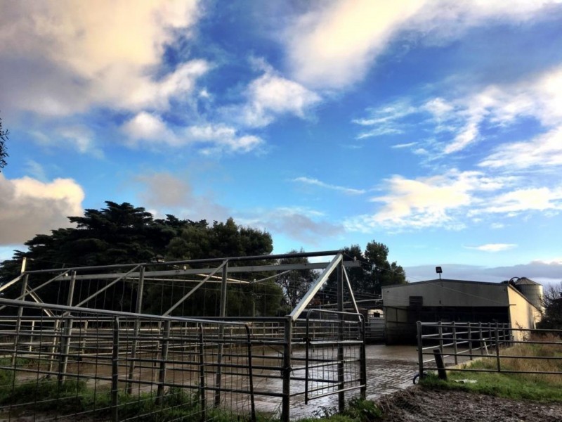 90 BAUM ROAD, Ryanston VIC 3992