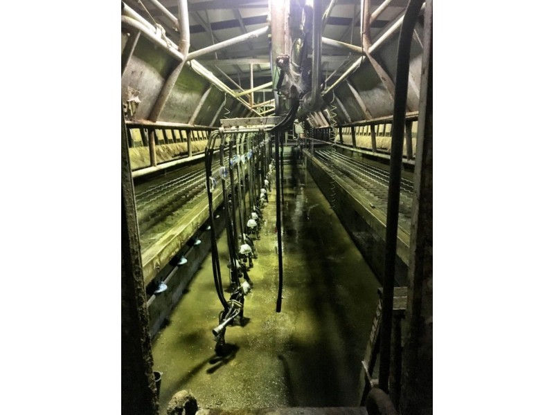 90 BAUM ROAD, Ryanston VIC 3992